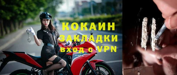 индика Аркадак