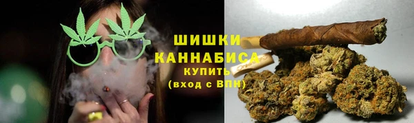 индика Аркадак