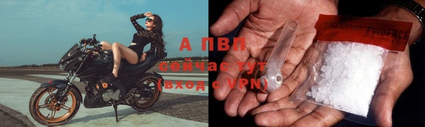 гидра Арсеньев