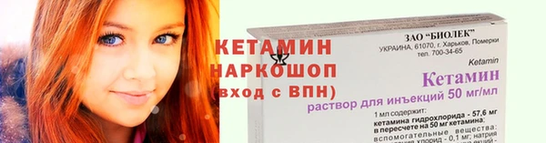 гидра Арсеньев