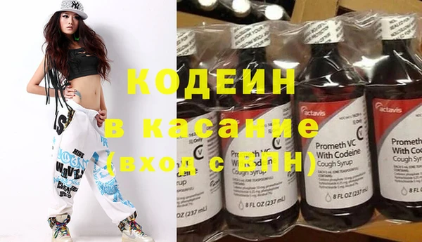 индика Аркадак
