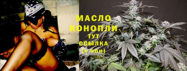 индика Аркадак