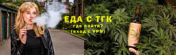 индика Аркадак