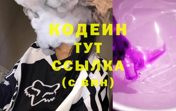 гидра Арсеньев